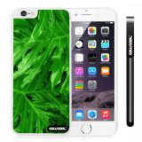 Apple Iphone 6 Plus 5.5 Inch Case Hard PC Leaves and branches of bamboo White Shell Single Layer Protective Case (Style4)